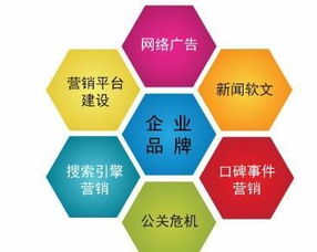 在武汉寻找性价比高、服务好的网络公司助力技术推广